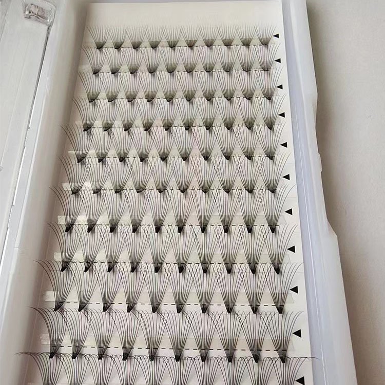 10D volume lash 