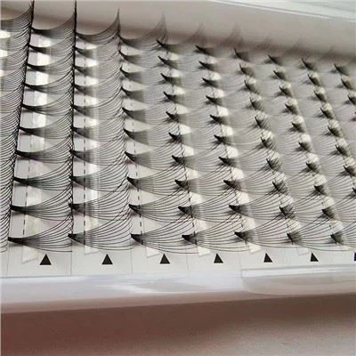 Lashes Premade 10D